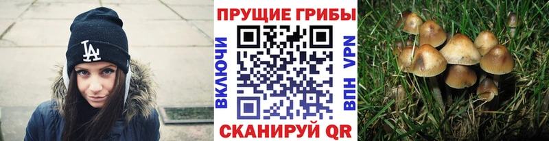 Галлюциногенные грибы Magic Shrooms  Томск 