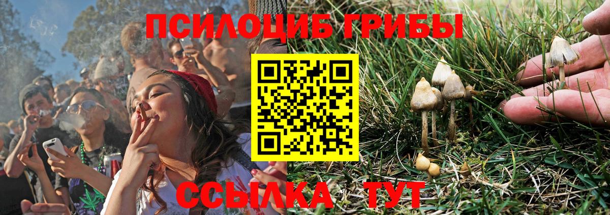 Галлюциногенные грибы ЛСД Томск