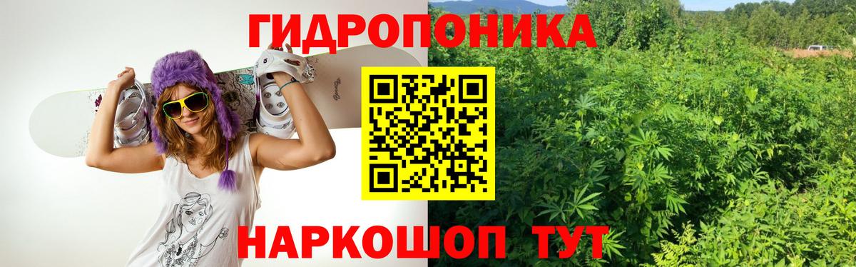 Томск  Бошки марихуана семена  Марихуана конопля  Вход с VPN  Шишки марихуана LSD WEED  Каннабис гибрид 